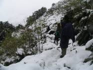 Previous image