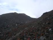 Click for large version