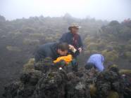 Click for large version