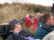 Click for large version