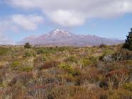 Click for large version