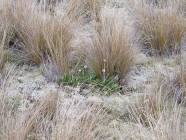 Click for large version