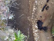 Click for large version