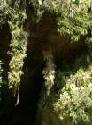 Next image