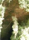 Next image
