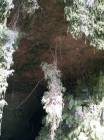Next image