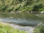 Previous image