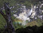 Previous image