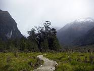 Previous image
