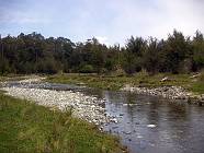 Previous image