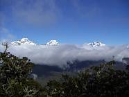 Click for large version