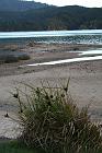 Previous image