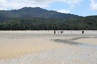 Previous image