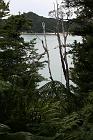 Previous image
