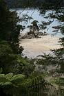 Previous image