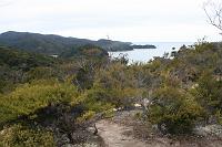 Previous image