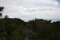 Previous image