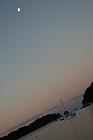 Next image