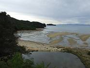Previous image