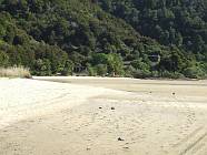 Previous image