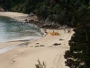 Previous image