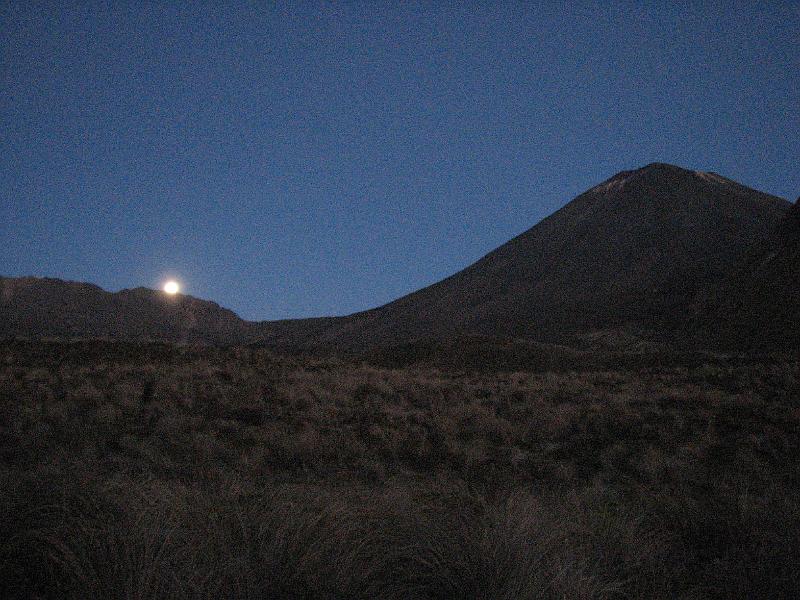 IMG_3131.JPG