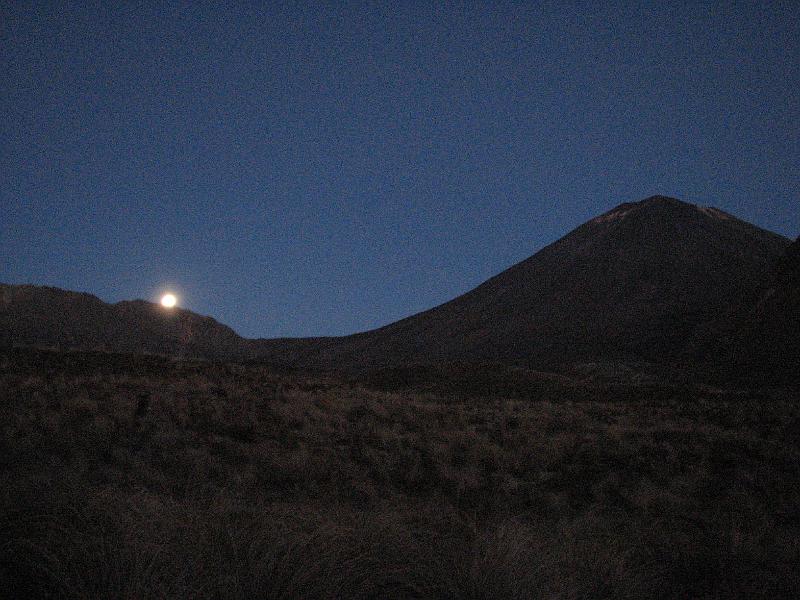 IMG_3133.JPG