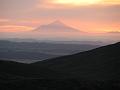 IMG_3101