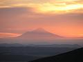 IMG_3104