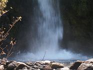 Previous image
