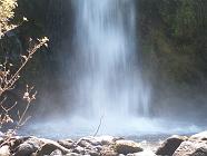 Previous image